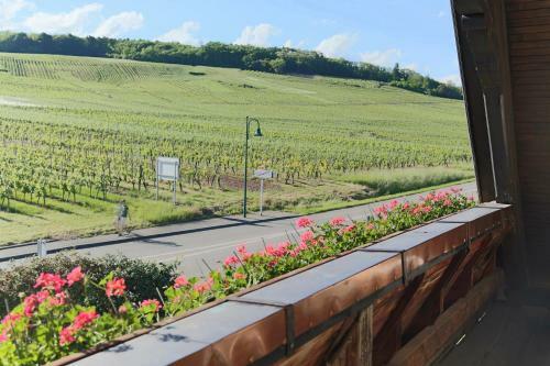 Bed & Breakfast Domaine Roland Geyer