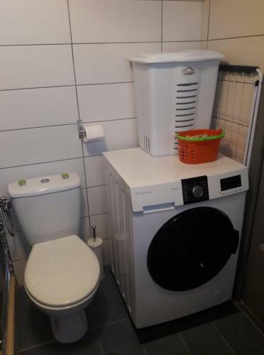 Apartamento The Wild Rose