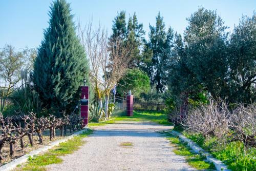 Loukas Farm House