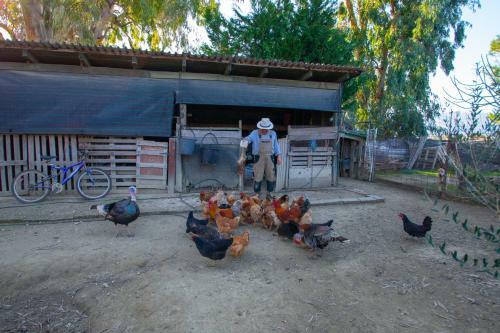 Loukas Farm House