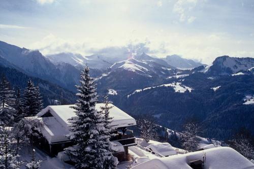 Hotel Les Chalets-h�tel de La Croix-fry