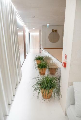 Agroturismo Casa Das Ameias