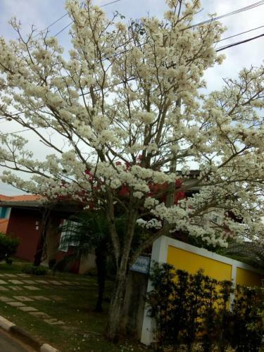Linda Casa de Campo - Pr�ximo � Sp - Wi-fi Gr�tis