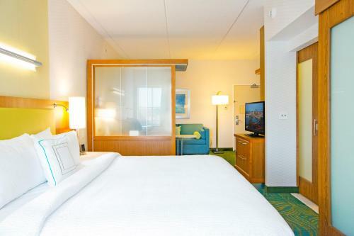Hotel Springhill Suites By Marriott Pittsburgh Mt. Lebanon