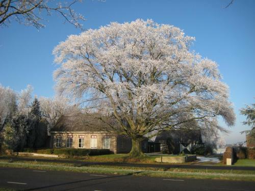 Bed & Breakfast Huize De Rode Beuk