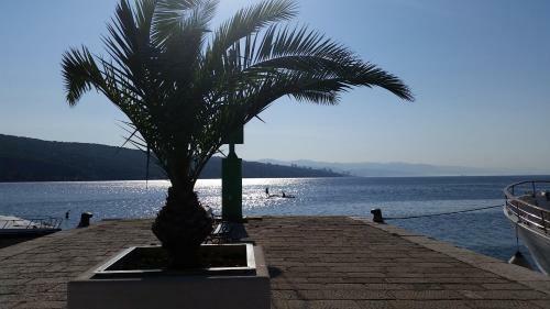 Hostal Apartments Jovic Opatija