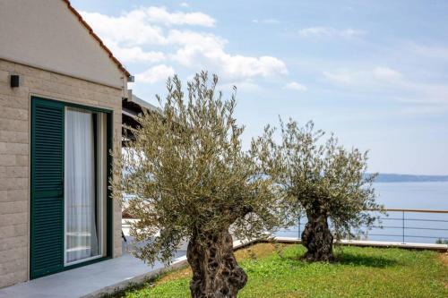 Villa Holiday House Olive 3 ****