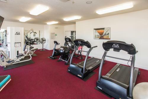 The Sandbridge Dunes - Dreamery 212