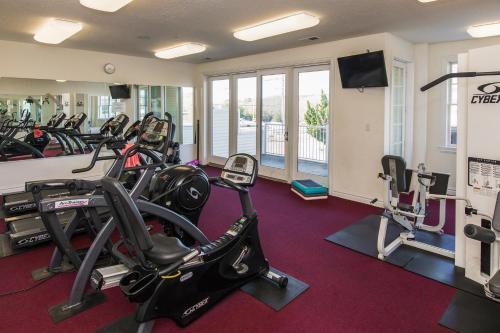 The Sandbridge Dunes - Dreamery 212