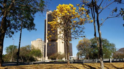 Apartamento Garvey Flats