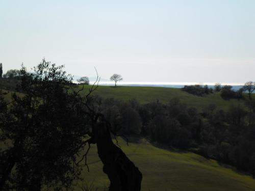 Agroturismo Poggio Petrella