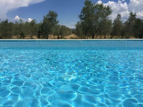 Agroturismo Il Girasole Terzuolo