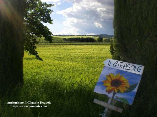 Agroturismo Il Girasole Terzuolo