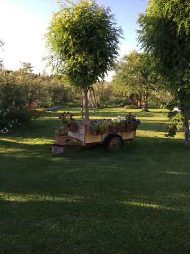 Agroturismo Il Girasole Terzuolo