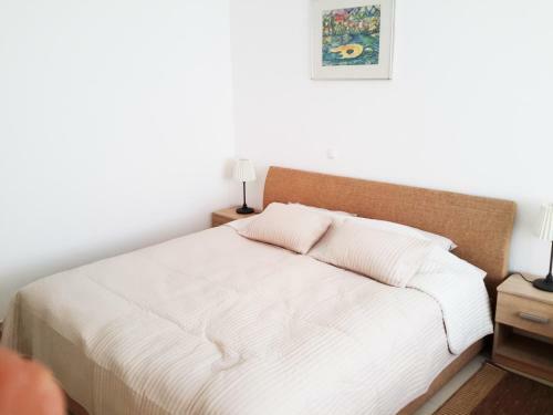 Albert Home