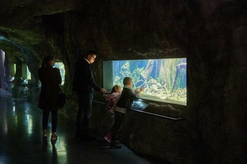 Apartman Rakovac