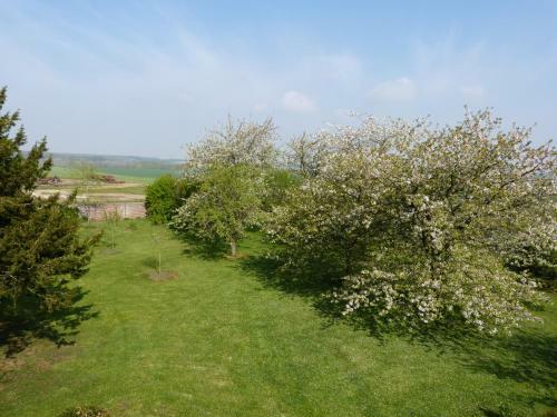 Bed & Breakfast Le Manoir De Crisolles