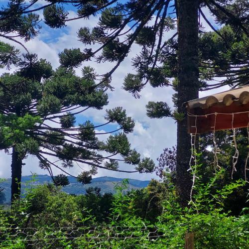 Chal� R�stico Na Montanha Em Campos de Jord�o