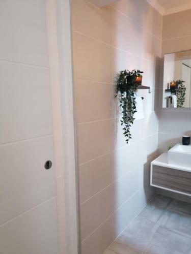 Apolon Apartment