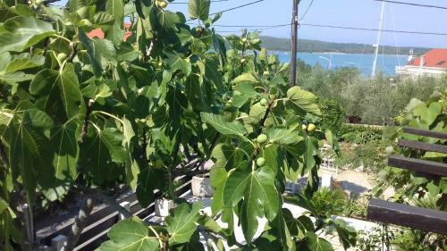 Apartamentos Klimno100