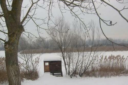Riverside House Bojko