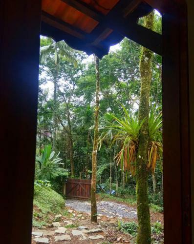 A Bela Casa Da Floresta!