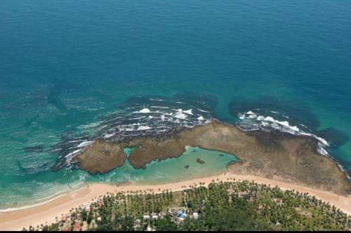 Hotel Vivant Eco Beach Resort