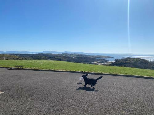 Apartamento Wild Atlantic Way Beach Cove View Ballyara