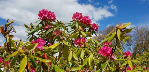 Mountain View Bed & Breakfast, Kenmare, Co. Kerry, Ireland
