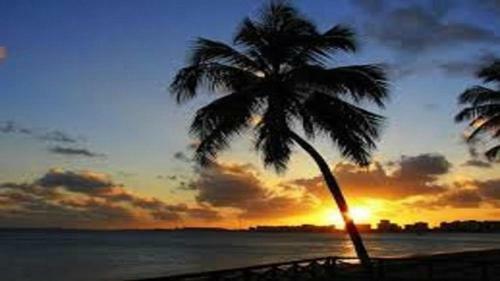 Neo - Apartamento Quarto E Sala Praia de Pajucara
