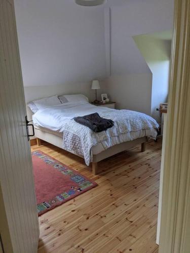 Hostal Downstairs Double Room With Swilly View Shared Large Bathroom