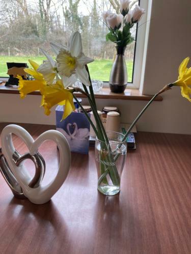 Bed & Breakfast Athenry Lodge