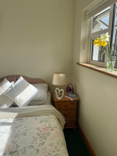 Bed & Breakfast Athenry Lodge