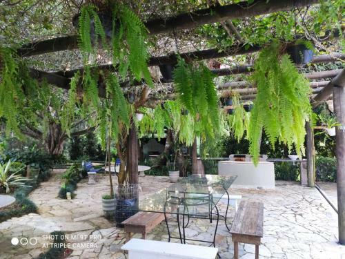 Ref�gio Verde Perto Da Capital Com Internet E Piscina