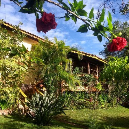 Apartamento Jardim Das Orqu�deas