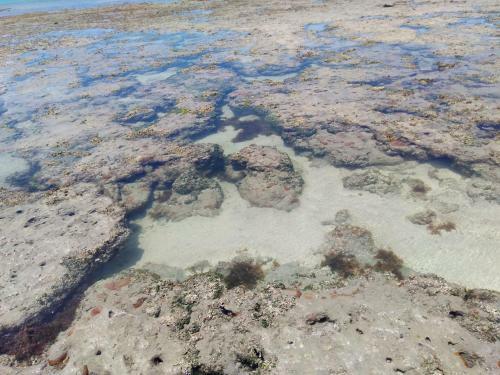 Paripueira Casar�o Com Piscina Pr�ximo Ao Mar