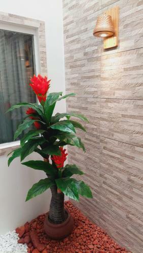 Apartamento Mobiliado No Centro de Paulo Afonso