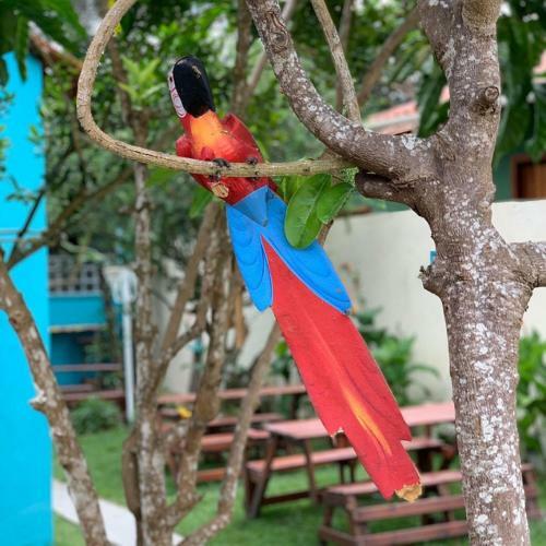 Posada Pousada Canto de Paz Arraial Dajuda