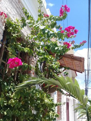 Hostal Frida Casa Y Hostel