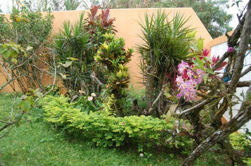 Casa de Praia, Stela Maris - Peruibe