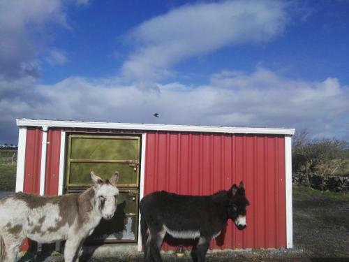 Agroturismo The Wild Atlantic Way Barn