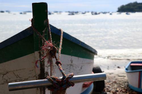 Curta Praia de Arma��o - Casa Girassol