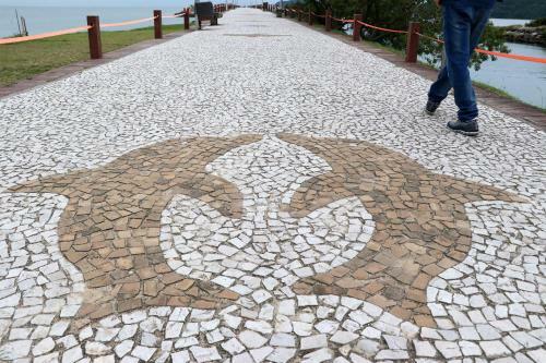 Curta Praia de Arma��o - Casa Girassol