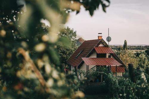 Szent Gy�rgy Cottage