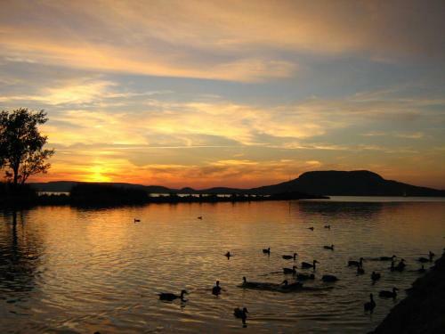 Sunset Plage Apartman Fony�d