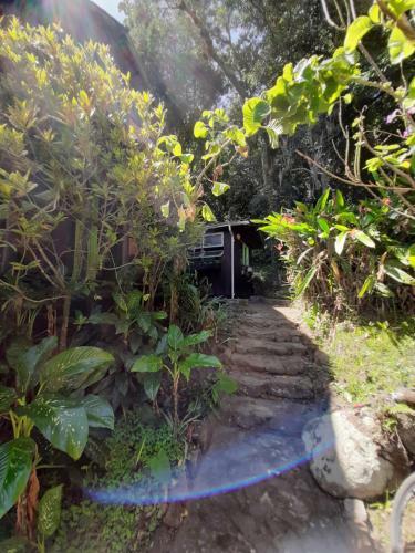 Morada P� Do Morro