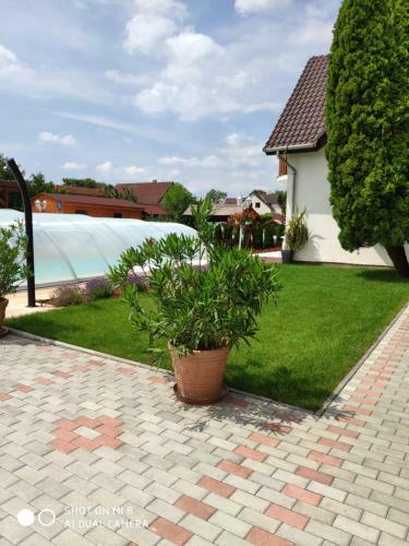 Apartamento Havasi Vend�gh�z