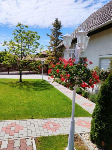 Apartamento Havasi Vend�gh�z