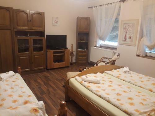 Hostal City Camping& Apartman &bungalow