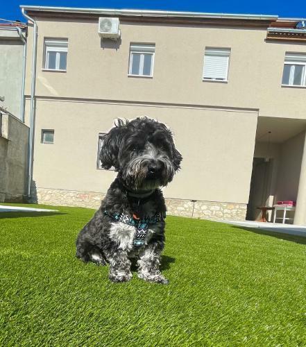 Holiday Apartmanh�z